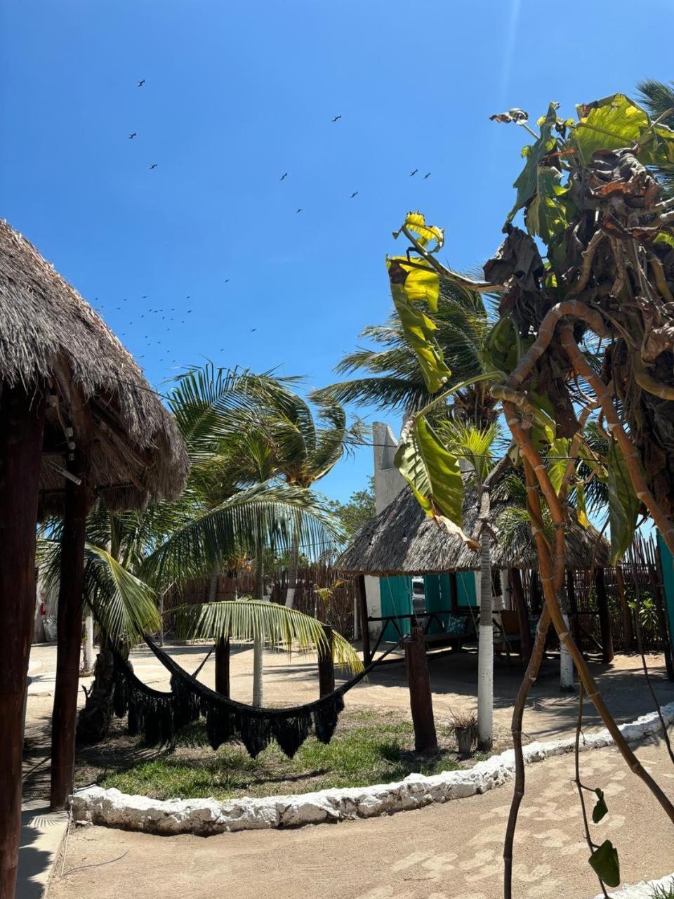 Mayan Mittoz Isla Holbox Exterior foto